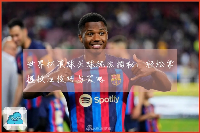 世界杯滚球买球玩法揭秘，轻松掌握投注技巧与策略