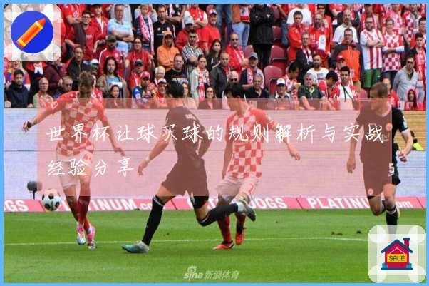 世界杯让球买球的规则解析与实战经验分享