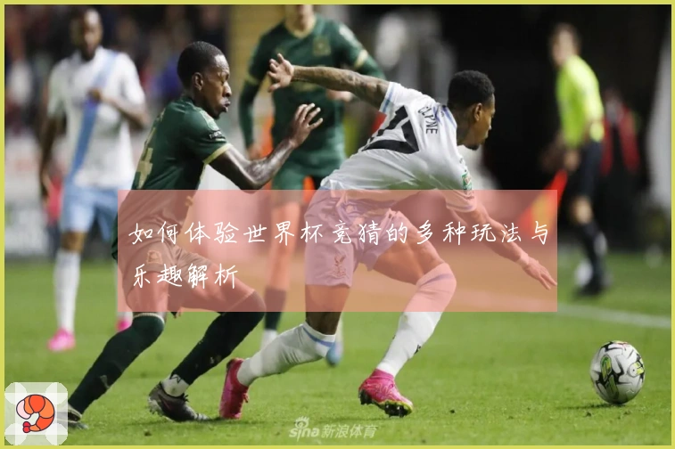 如何体验世界杯竞猜的多种玩法与乐趣解析