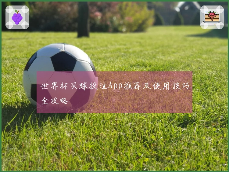 世界杯买球投注App推荐及使用技巧全攻略
