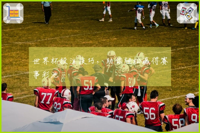 世界杯投注技巧，助你轻松赢得赛事彩池