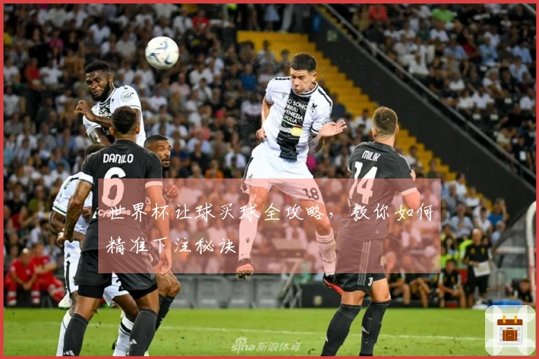 世界杯让球买球全攻略，教你如何精准下注秘诀