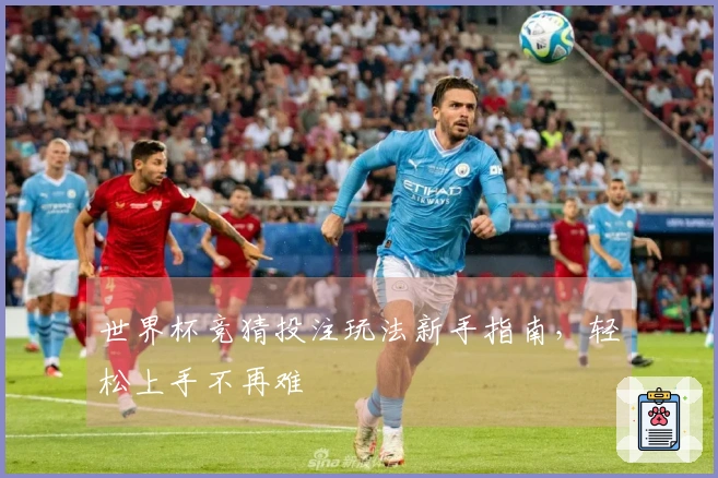 世界杯竞猜投注玩法新手指南，轻松上手不再难
