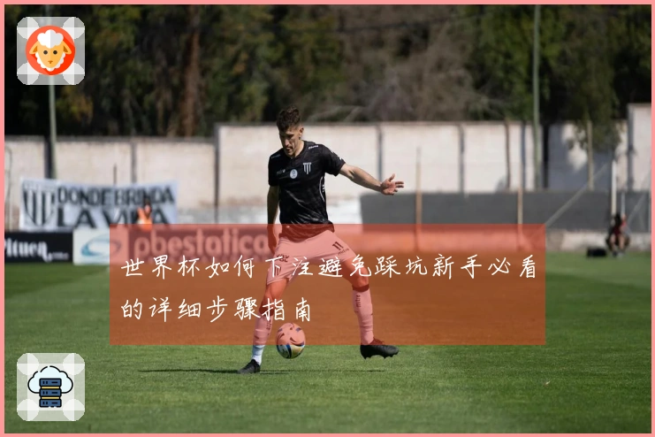 世界杯如何下注避免踩坑新手必看的详细步骤指南