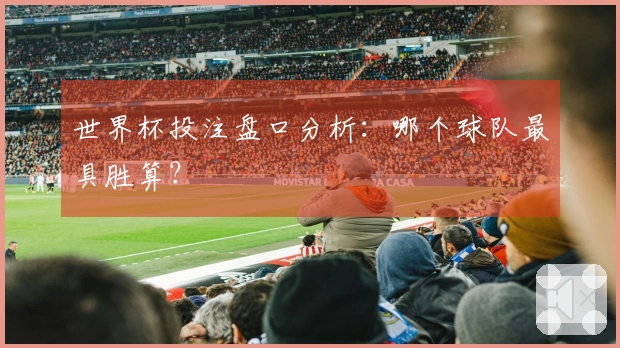 世界杯投注盘口分析：哪个球队最具胜算？